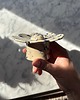 pojemniki na biżuterię Ceramiczna Miseczka Kwiat na Biżuterię Handmade Miseczka w Kobaltowe Ciapki 5