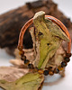 bransoletki - inne Bransoletka miedziana handmade z koralikami: tygrysie oko (matowe) 2