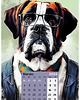kalendarze i plannery Kalendarz 2024 - Hipsterskie Psy 13x18 cm 2