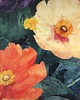 plakaty Plakat Spring 1 2