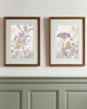 grafiki i ilustracje ZESTAW 2 PLAKATÓW  , grafiki kwiaty, rysunek botaniczny 2