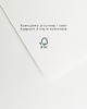 plakaty Plakat- Drzewo cytrynowe 4