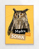 plakaty Plakat Mądry/a jak sowa 1
