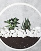 doniczki Circle planter "M"- dekoracja ścienna 6