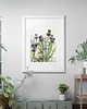 grafiki i ilustracje Osty 50x70 3