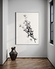 grafiki i ilustracje Kwiaty bawełny / Fine Art Print 3