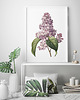 plakaty Plakat Bez  vintage  6