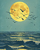 plakaty Plakat - Sea adventures 2
