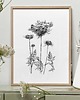grafiki i ilustracje Aminek 2  - grafika botaniczna 1
