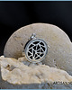 wisiory SCENTED SILVER  1