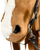 zabawki - inne Realistyczny Hobby Horse kasztan/ruda 5