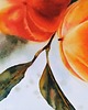 obrazy "Kaki" 36*48cm/ akwarela 1