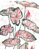 naklejki ścienne do pokoju dziecka Tapeta dla dzieci Różowe Papugi ( Pink Parrot) 1
