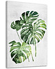 obrazy Obraz na płótnie ROŚLINKA MONSTERA 70x100cm 2