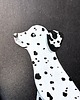 grafiki i ilustracje Obrazek z Dalmatyńczkiem: Białe na Czarnym (ręcznie malowany) 2