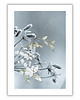 plakaty Plakat Frozen flowers 1