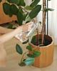 doniczki Doniczka COLONNA Plant dąb 1
