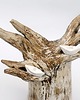 figurki i rzeźby Rzeźba ceramiczna Baobab handmade 1