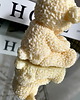 świeczniki i świece Świeca sojowa ekologiczna dekoracyjna miś misiu "Teddy Bear" 75x75mm 2