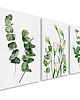 obrazy OBRAZ NA PŁÓTNIE -ROŚLINKI 3 części 50x70cm 2