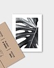 plakaty Monstera Plakat 2