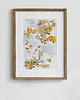 plakaty Plakat- Drzewo cytrynowe 1