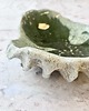 patery i talerze Mini patera *Shell* 17cm 2