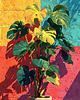 plakaty Plakat - Monstera rich 1