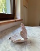 pojemniki na biżuterię Ceramiczna Muszla Muszelka Skarbiec na Biżuterię Lolipop w Czarne Ciapki 5