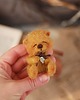misie i maskotki Miodek- mini Miś 2