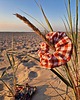 gumki do włosów Scrunchie 4