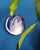 patery i talerze TALERZ / PATERA 25cm 3