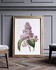 plakaty Plakat Bez  vintage  5
