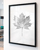 plakaty Plakat Botaniczny Liść Klonu. Minimalistyczna Dekoracja Ścienna. Grafika 1