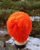 czapki damskie Czapka beanie neon pomarańcz 2
