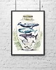 grafiki i ilustracje Ocean w butelce 2 A4 1