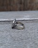 pierścionki - różne Kolorowa kraina - pierścionek regulowany 1