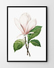 plakaty Różowy zestaw plakatów - Madame i Magnolia 2