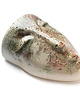 Ozdoby na ścianę Doniczka głowa na ścianę w kolorowe mazy i kropki 3