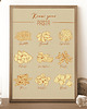 plakaty Plakat Know Your Pasta 1