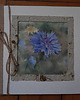 kartki scrapbooking Kartka okolicznościowa - chaber. Akwarela i papier czerpany. 1