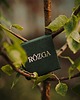 pierścionki złote Pozłacany pierścionek drzewna GAŁĄZKA 8