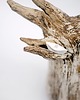 figurki i rzeźby Rzeźba ceramiczna Baobab handmade 2