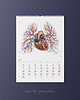kalendarze i plannery Kalendarz Anatomiczny 2022 2