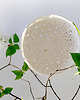 miski i misy Mis'moon - misa 3