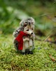 figurki i rzeźby Jeżyk 2