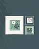 plakaty Mniszek lekarski/ seria Herbarium plakat 40x40 cm 3