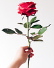 dodatki - różne Realistyczna czerwona róża z papieru - jak żywa - prezent premium 1