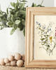grafiki i ilustracje PLAKAT botaniczny, polne kwiaty grafika, rysunek kwiaty 1
