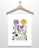 plakaty KWIATY GÓRSKIE  VI plakat  A4, A3,30x40cm 5